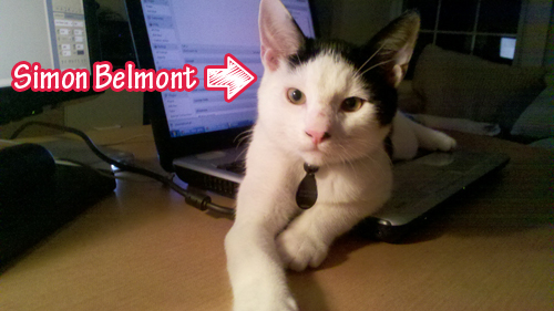 My Cat, Simon Belmont