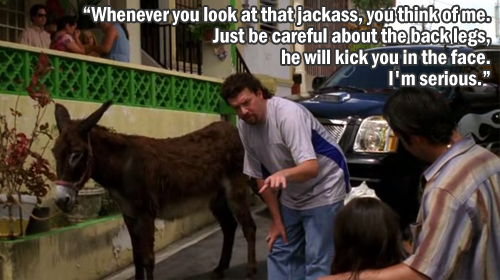Kenny gives Mexican kids a donkey.