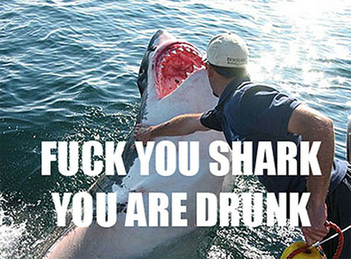 Fuck You Shark, You Are Drunk!