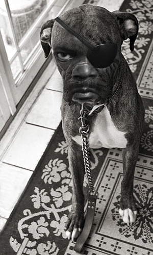 Samuel L. Barkson