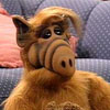 ALF