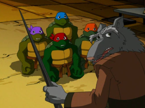 Splinter Teaching