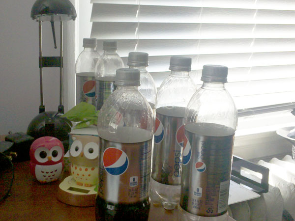 Diet Pepsi Bottles
