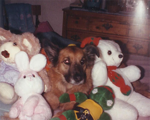 Elky frequently ate stuffed animals...