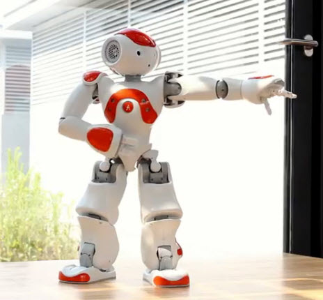 The Evolution of Dance Performed by a Robot