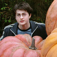 Harry Potter and the Prisoner of Azkaban [31 DVDs of Halloween]