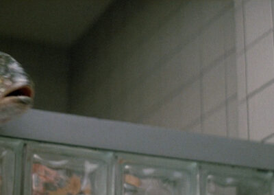 Glass block shower scene in Crocodile Dundee II (1988)