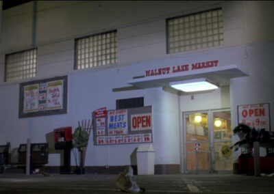 Glass block windows on the grocery store in Intruder (1989)